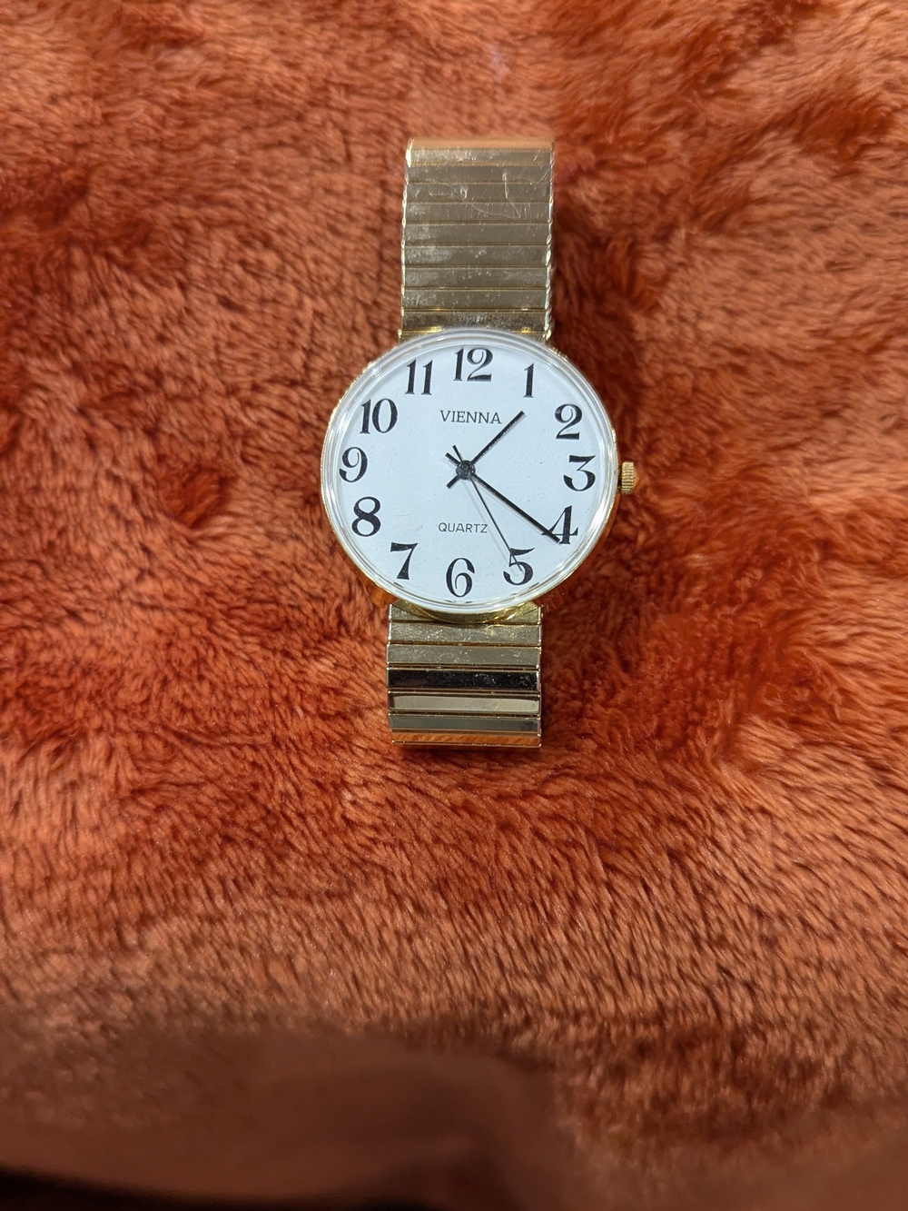 Men's Vienna Gold-Tone Quartz Watch with White Dial